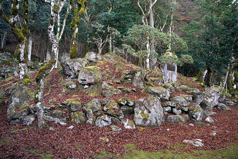 大痩嶺