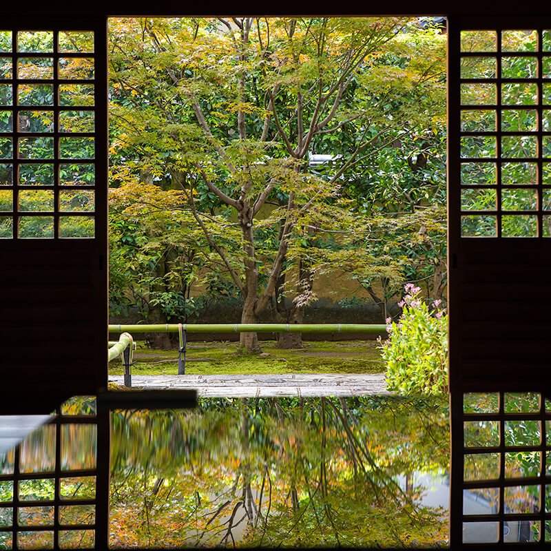 リフレクション庭園