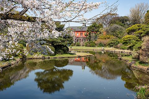 小石川植物園