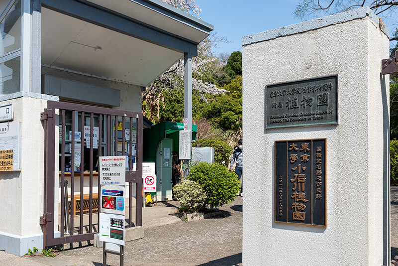 小石川植物園　正門