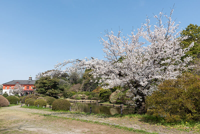 平日に訪れたような静けさ