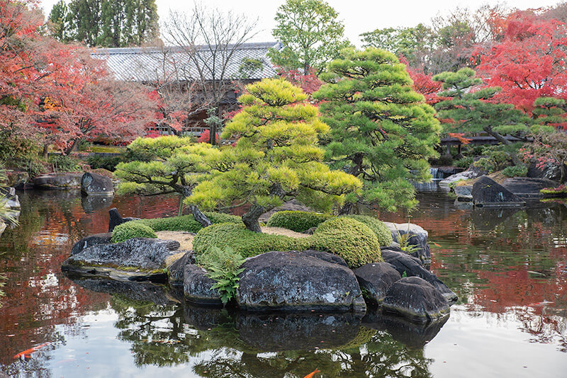 御屋敷の庭　亀島