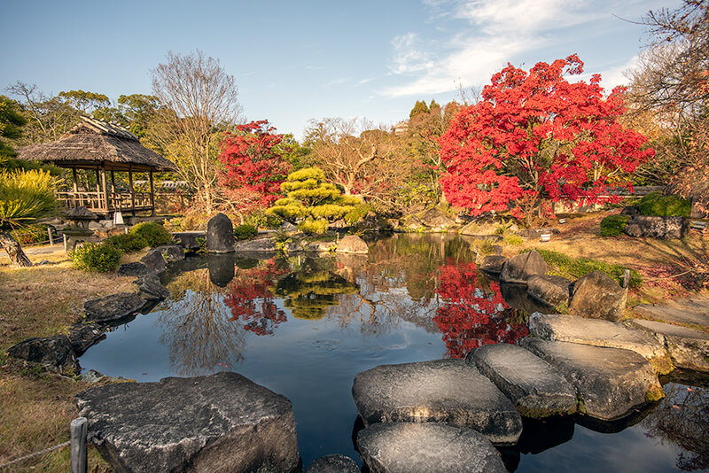 築山池泉の庭