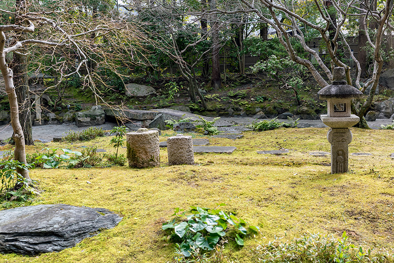 芝庭