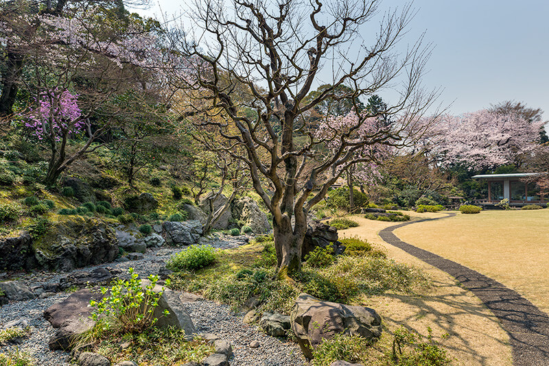 旧岩崎邸庭園