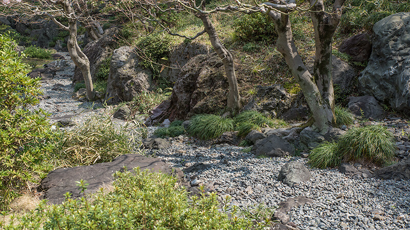 枯流れの水飛沫