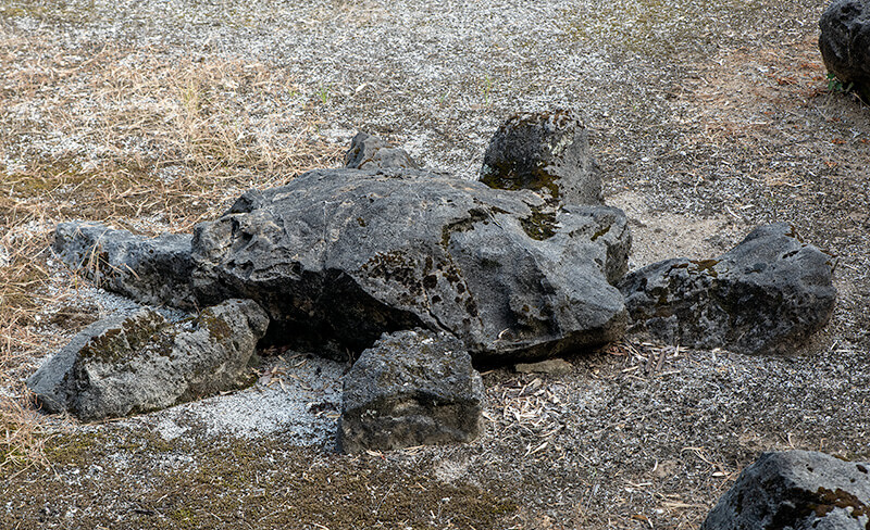 亀島