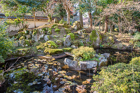 金剛院