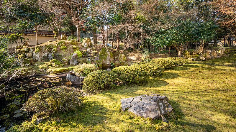 鶴亀の庭