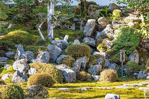 金剛寺