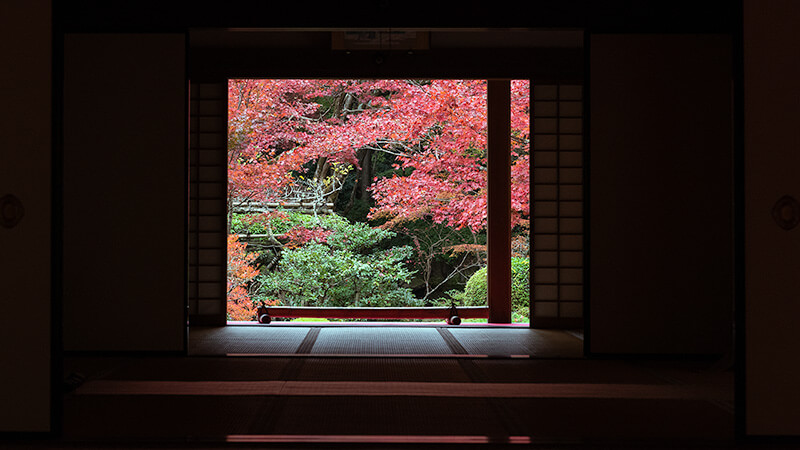 明寿院　額縁庭園