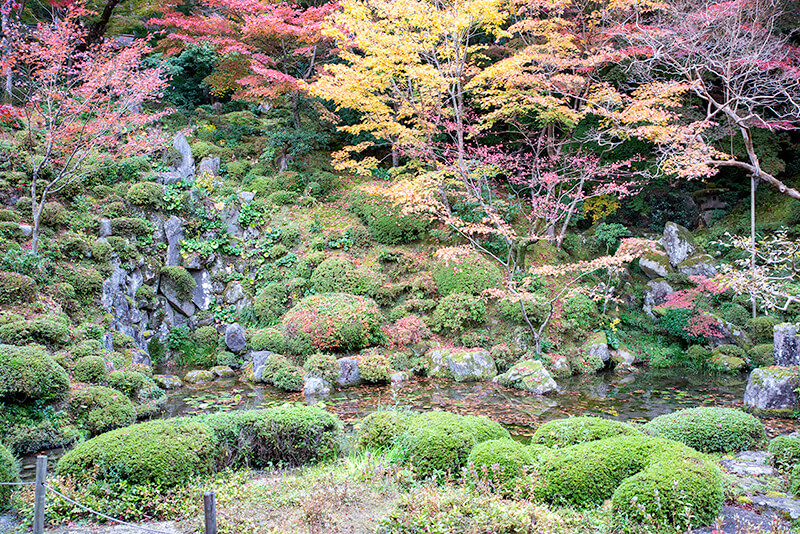 明寿院　東庭