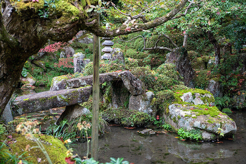 亀島（明寿院　東庭）