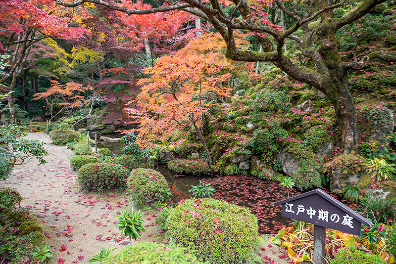 明寿院　北庭
