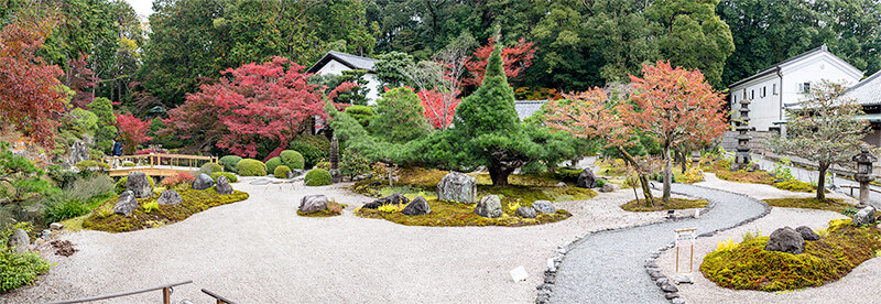 紫雲の庭