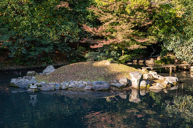 花交の池