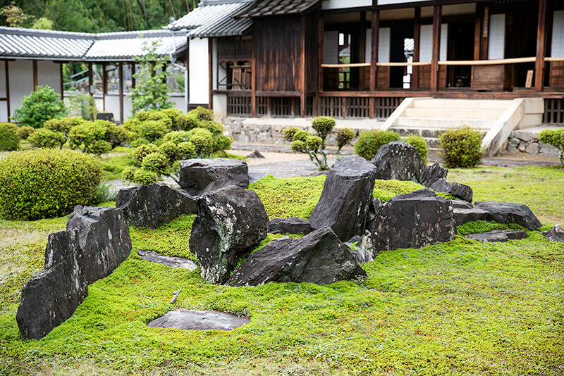 興聖寺　亀石組