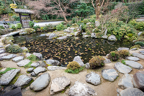當麻寺　中之坊「香藕園」