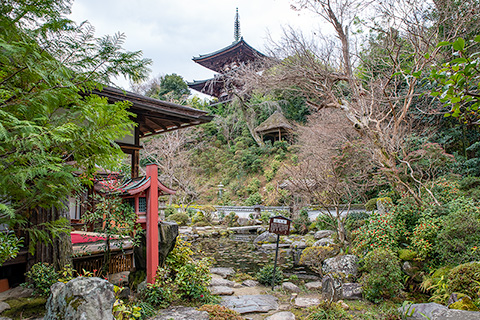 當麻寺　中之坊園