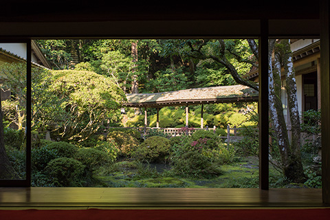 光久寺の茶庭