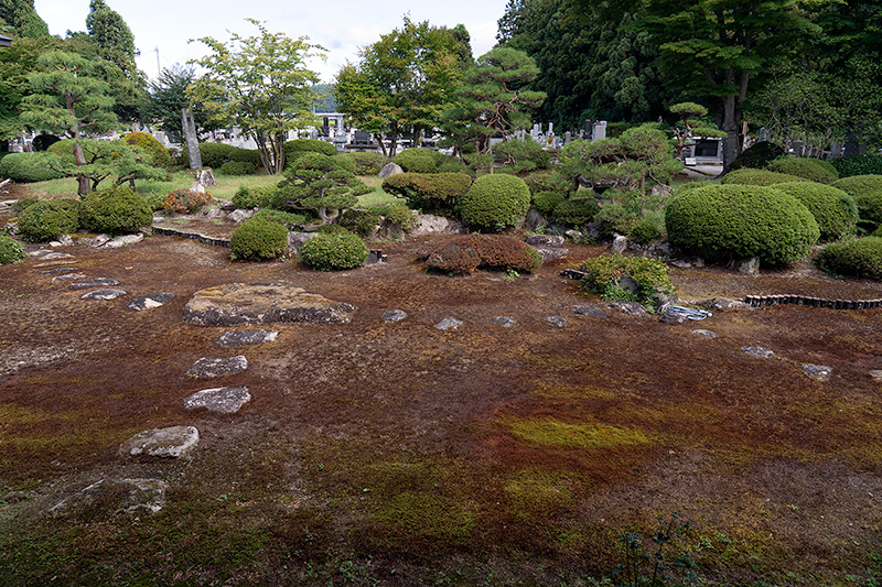 苔庭
