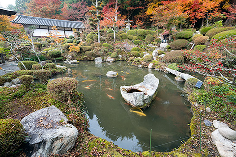 康徳寺