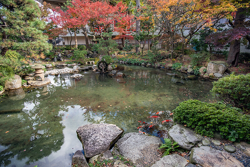 池泉回遊式庭園