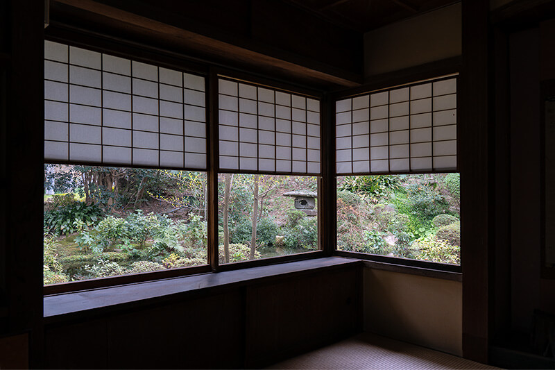 茶室からの額縁庭園