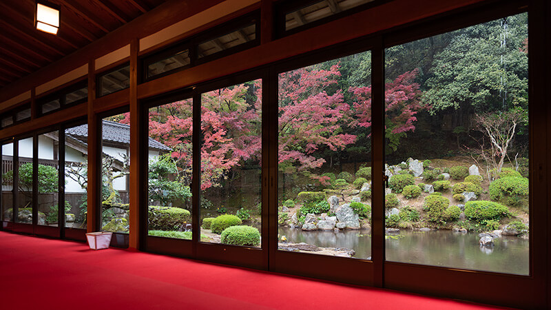 額縁庭園