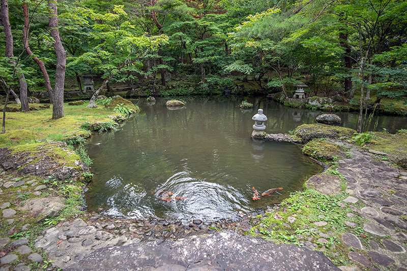 東庭園の池泉庭園