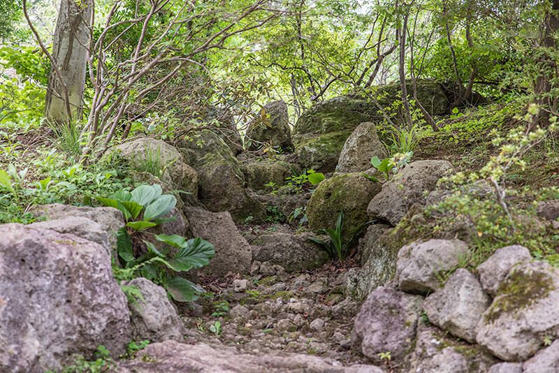 東庭園　枯滝石組