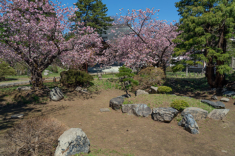 光善寺