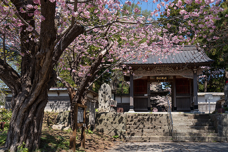 光善寺　山門