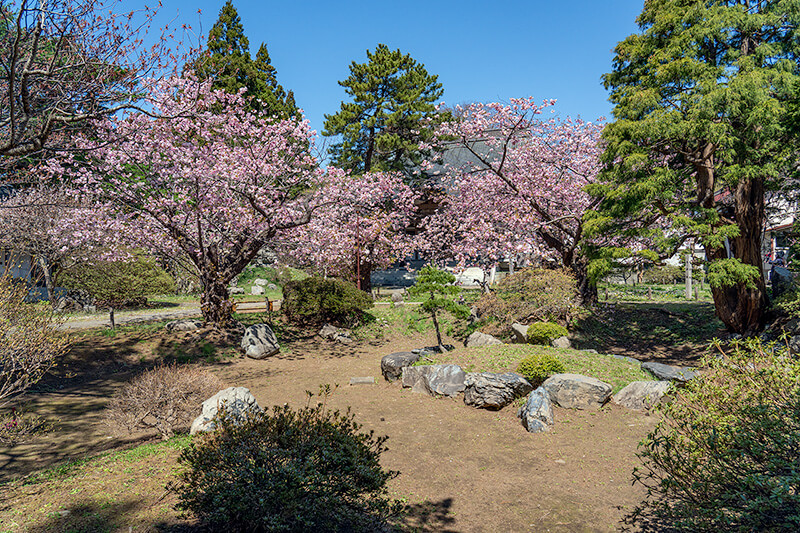 光善寺庭園