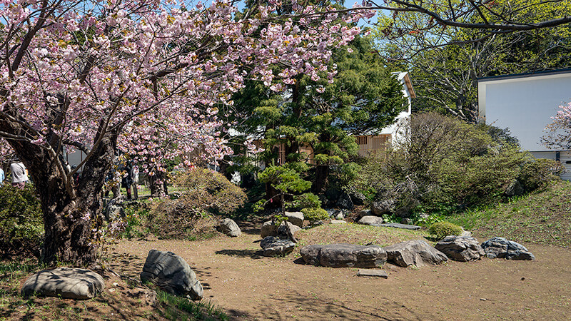 光善寺庭園