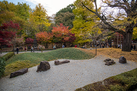 九品仏　浄真寺