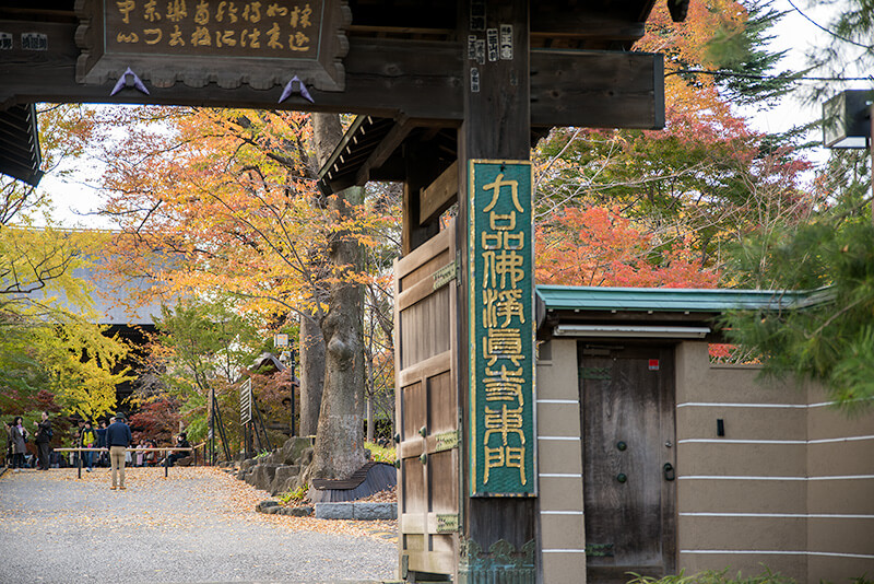浄真寺の山門