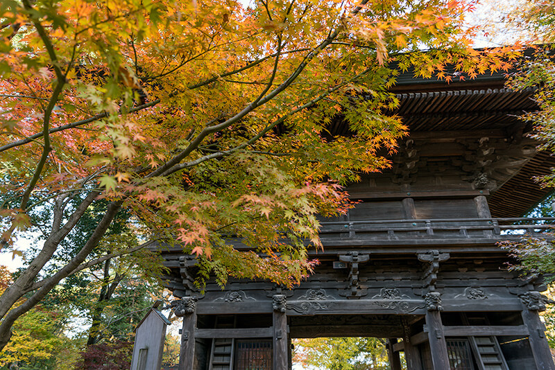 浄真寺の仁王門