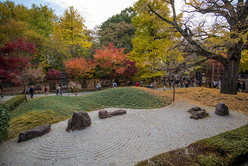 浄真寺の枯山水