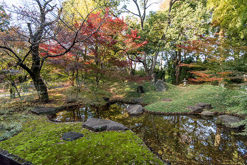 本堂から池泉庭園