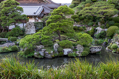 久遠寺