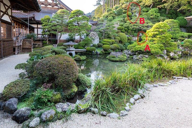 池泉南東部より山麓を望む