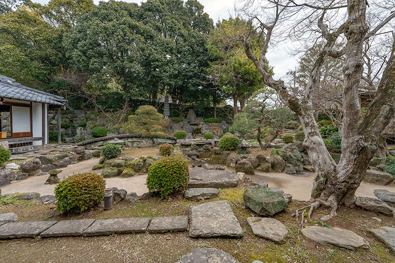 全景