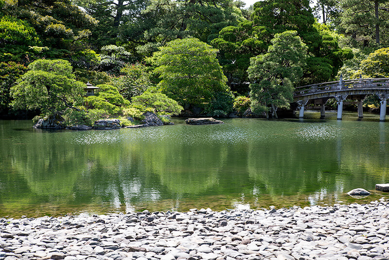 緑一色の御池庭