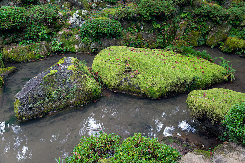 遠州庭園　亀石組
