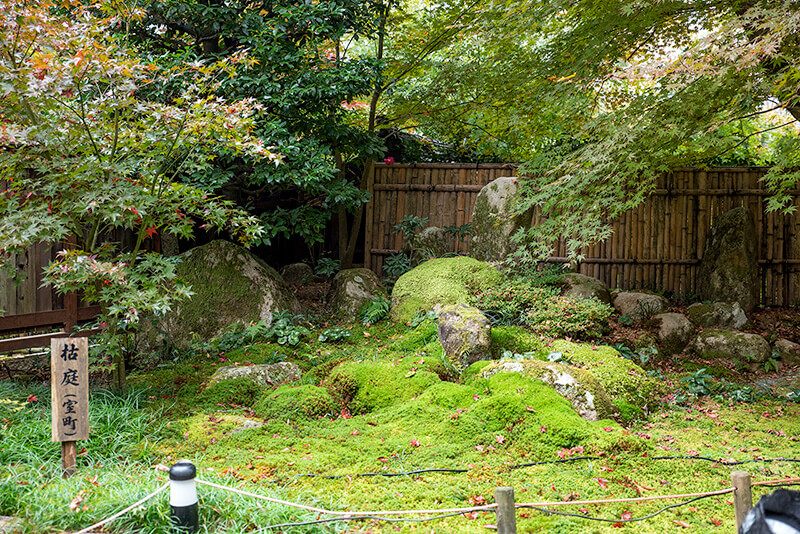 苔庭
