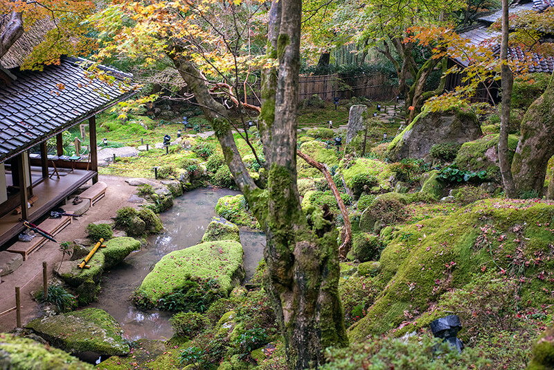 築山から遠州庭園を見下ろす