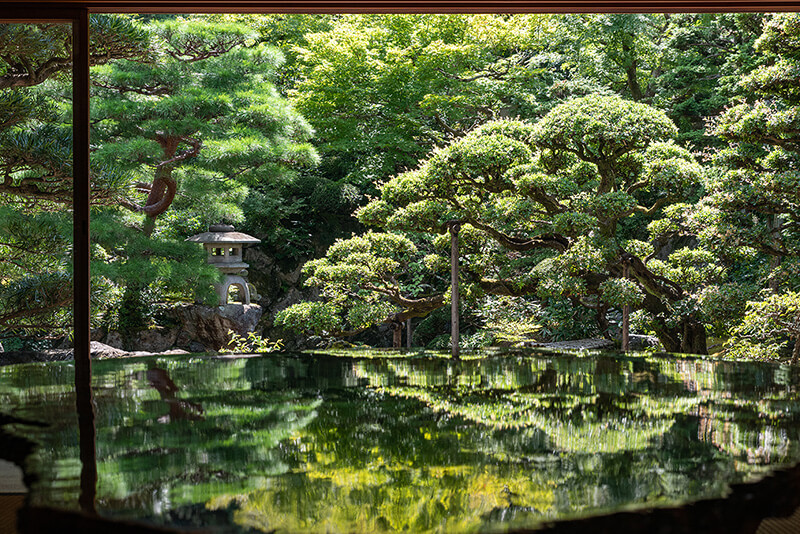 床もみじ