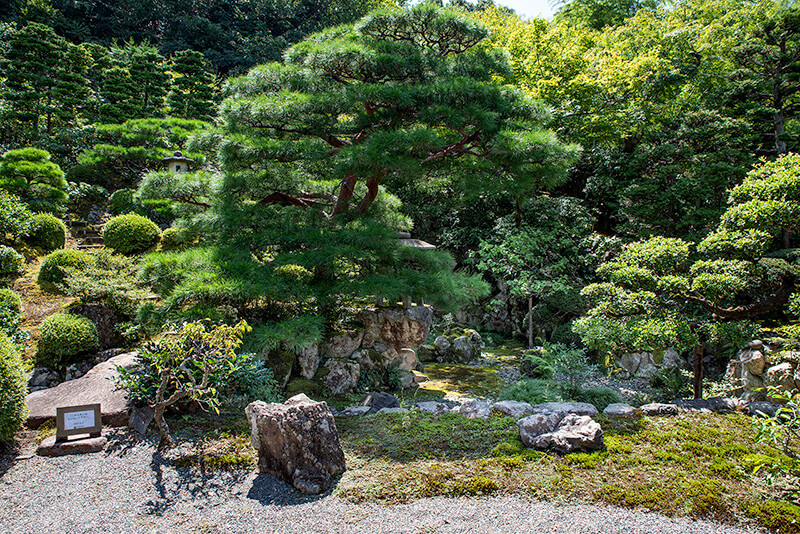 双ヶ丘を借景