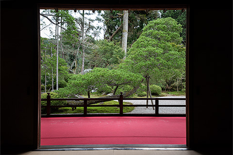 曼殊院庭園